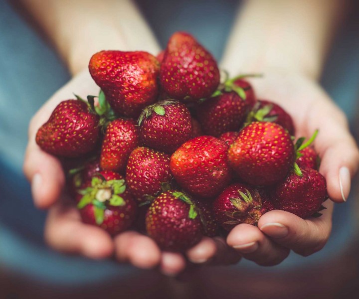 Organic food has become very popular. But navigating the maze of organic food labels, benefits, and claims can be confusing. Because there were thousands of bad Commas, wild Question Marks and devious Semikoli, but the Little Blind Text didn’t listen. A small river named Duden.